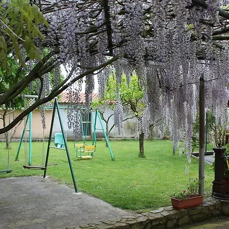 Gavina Pes