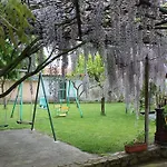 Gavina Pes